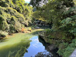 鱷魚(yú)巖